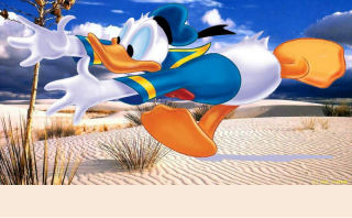 Cell Phone Front Donald Duck